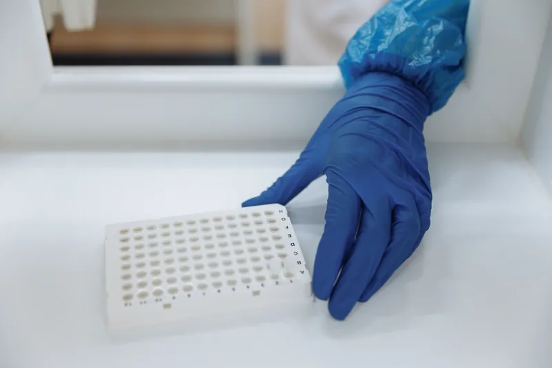A gloved hand holding a microplate in a laboratory